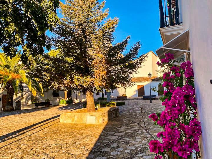 Grazalema - Casita La Calma - Incredible Views, Clima Frio-Calor, Wifi & Private Parking Optionalヴィラ エクステリア 写真
